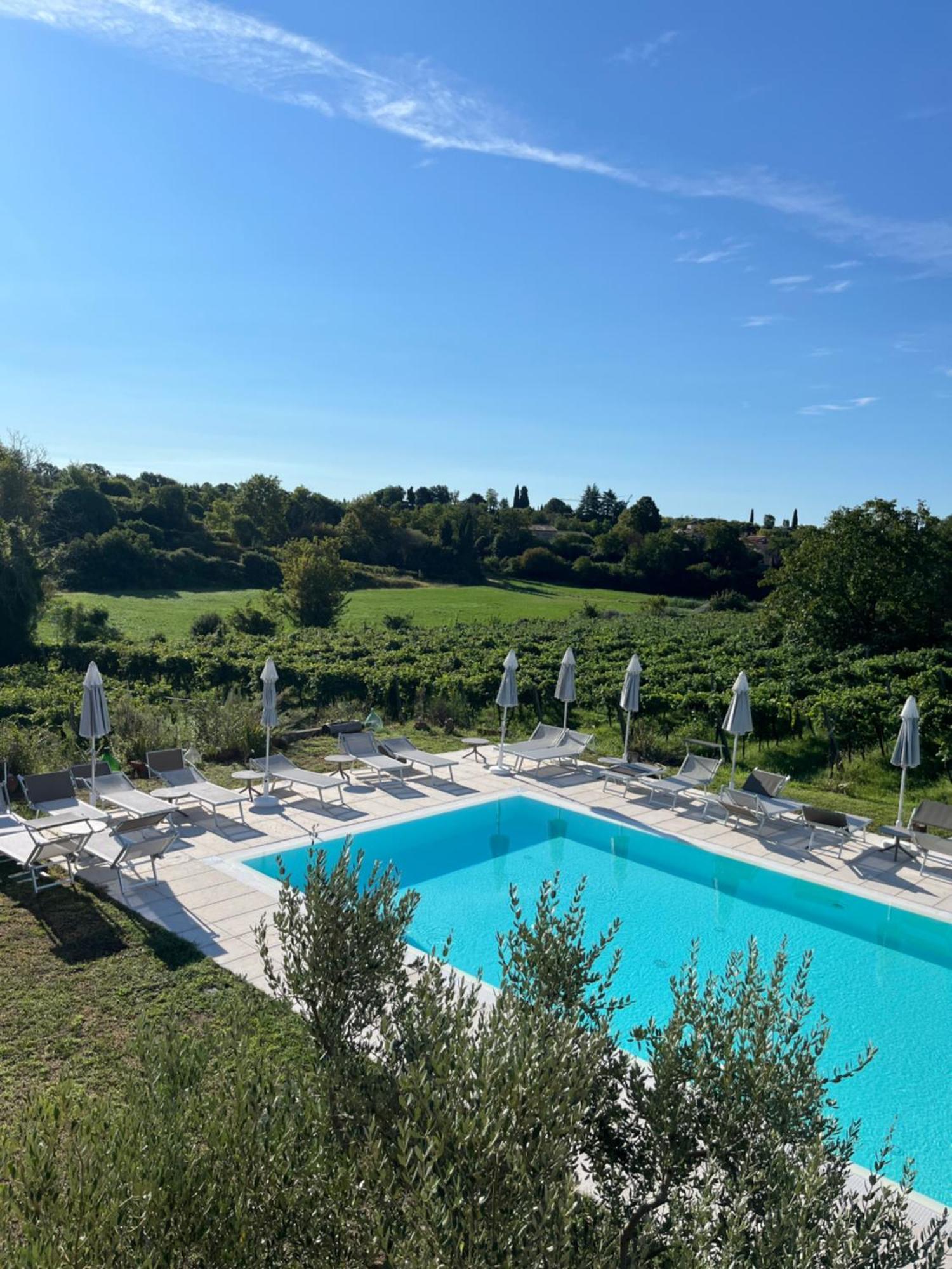 Agriturismo Al Dugale Лацизе Екстер'єр фото